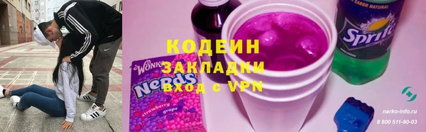 трава Белокуриха