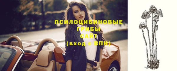 трава Белокуриха