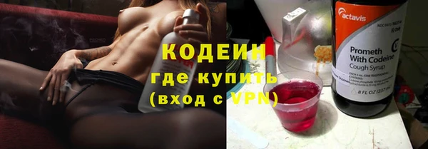 трава Белокуриха