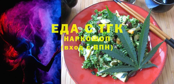индика Гусев