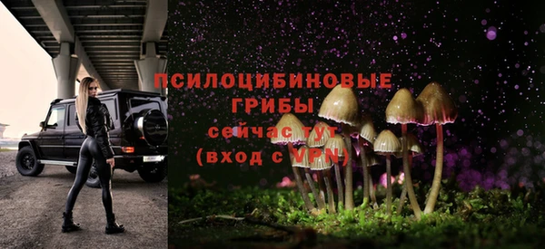 ГАЛЛЮЦИНОГЕННЫЕ ГРИБЫ Гусь-Хрустальный