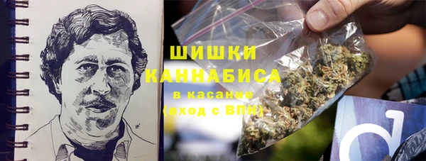 трава Белокуриха
