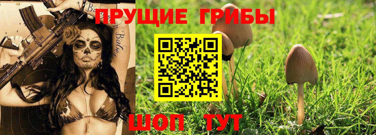 Галлюциногенные грибы GOLDEN TEACHER Пыть-Ях